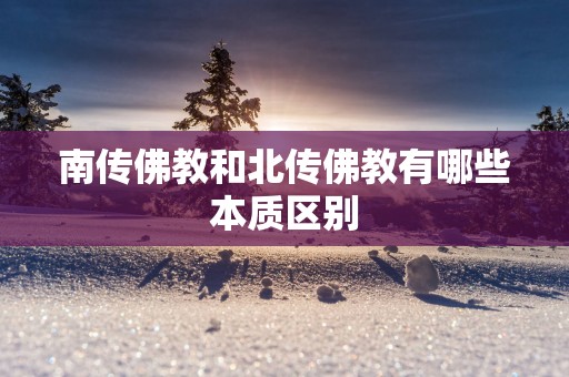 南传佛教和北传佛教有哪些本质区别