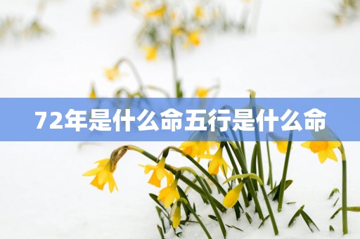 72年是什么命五行是什么命