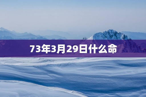 73年3月29日什么命