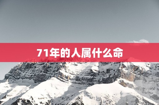 71年的人属什么命