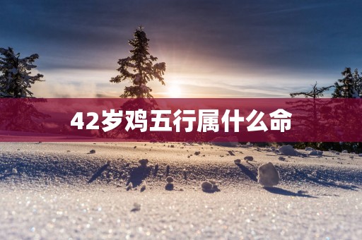 42岁鸡五行属什么命