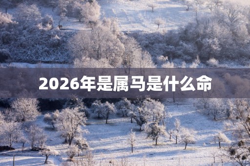 2026年是属马是什么命