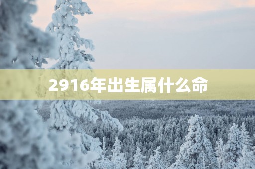 2916年出生属什么命