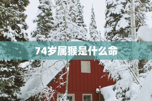 74岁属猴是什么命