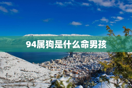 94属狗是什么命男孩