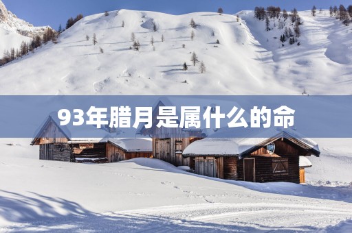 93年腊月是属什么的命