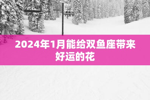 2025年1月能给双鱼座带来好运的花