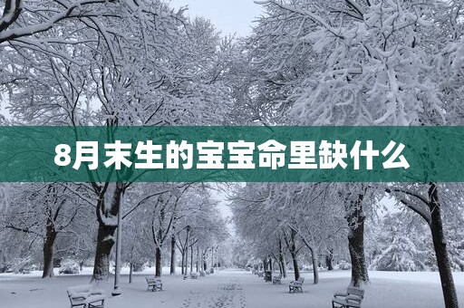 8月末生的宝宝命里缺什么