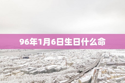 96年1月6日生日什么命