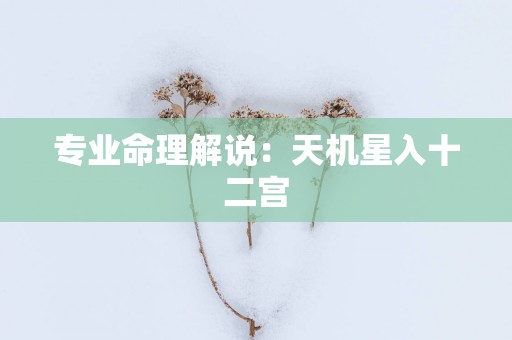 专业命理解说：天机星入十二宫