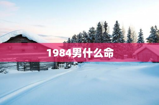 1984男什么命