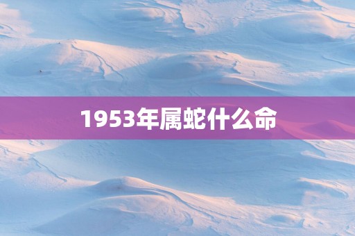 1953年属蛇什么命