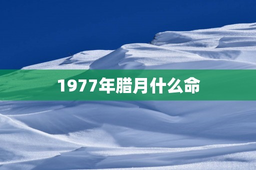 1977年腊月什么命