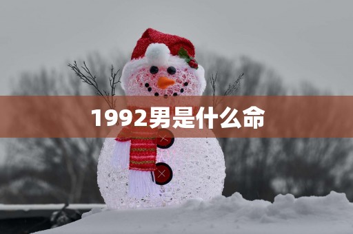 1992男是什么命