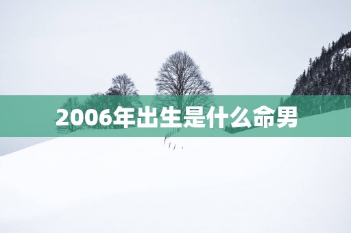 2006年出生是什么命男