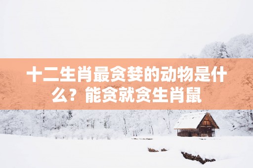 十二生肖最贪婪的动物是什么？能贪就贪生肖鼠