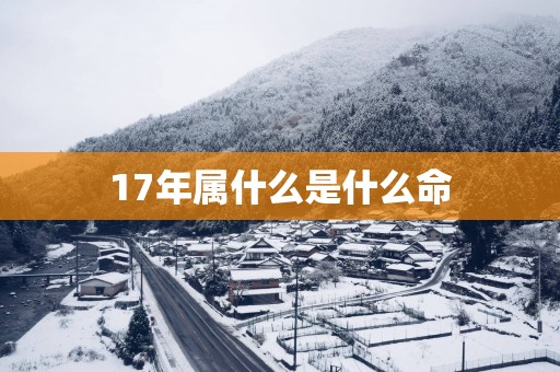 17年属什么是什么命
