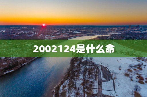 2002124是什么命