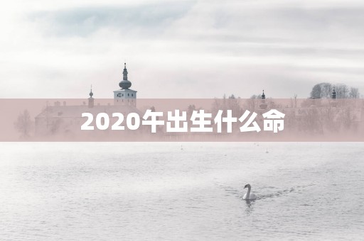 2025午出生什么命