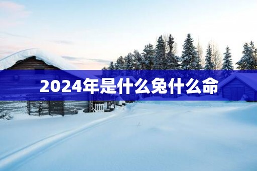 2025年是什么兔什么命