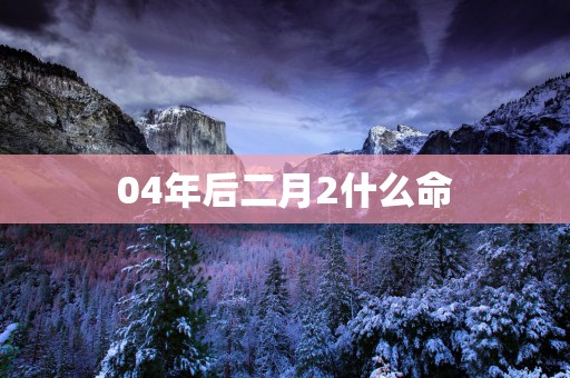 04年后二月2什么命
