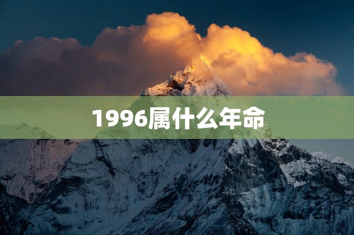 1996属什么年命