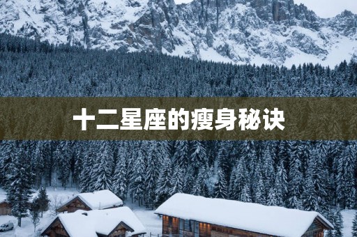 十二星座的瘦身秘诀