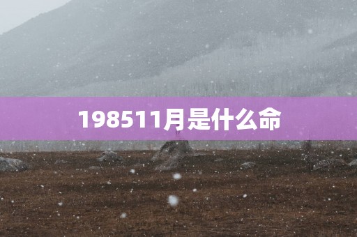 198511月是什么命