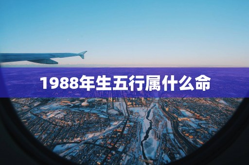 1988年生五行属什么命
