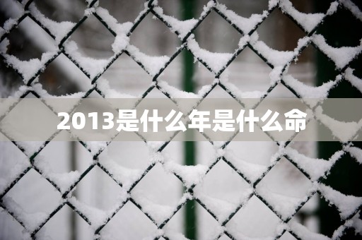 2013是什么年是什么命