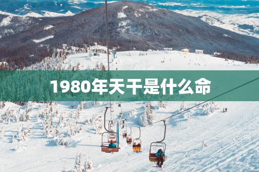 1980年天干是什么命