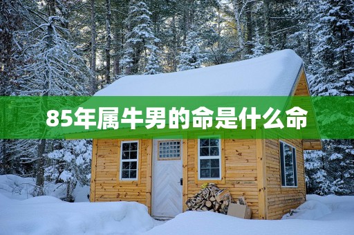 85年属牛男的命是什么命