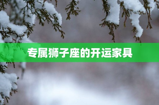 专属狮子座的开运家具