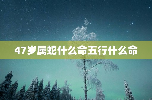47岁属蛇什么命五行什么命