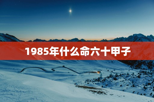 1985年什么命六十甲子