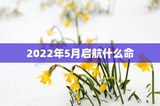 2025年5月启航什么命