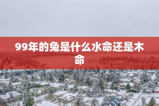 99年的兔是什么水命还是木命