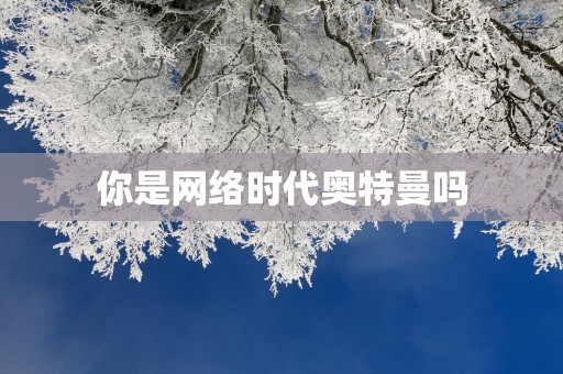 你是网络时代奥特曼吗