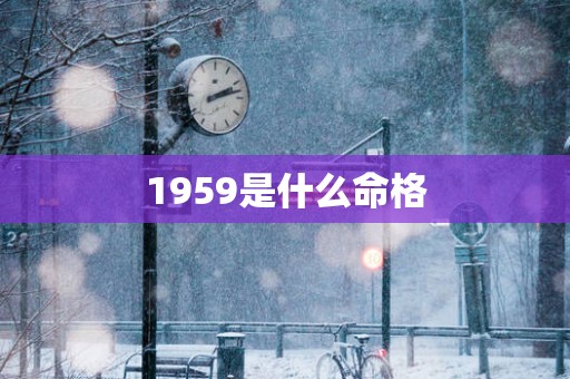 1959是什么命格