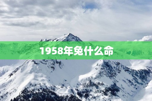 1958年兔什么命