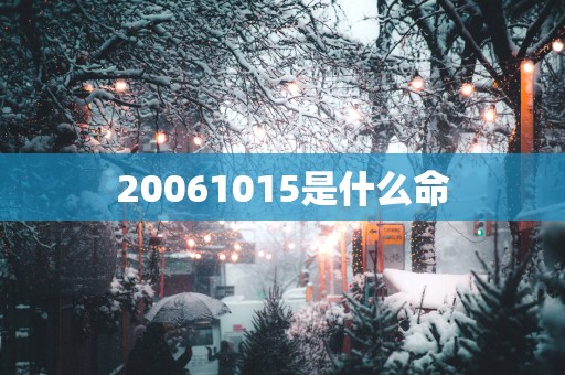 20061015是什么命