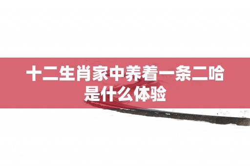 十二生肖家中养着一条二哈是什么体验