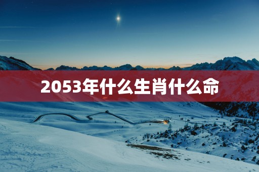 2053年什么生肖什么命