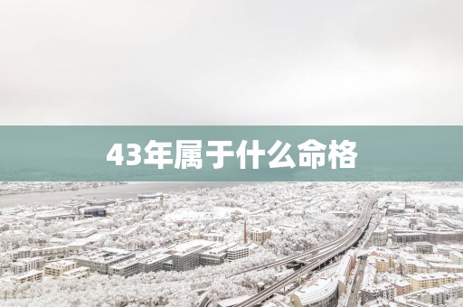 43年属于什么命格