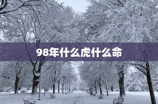 98年什么虎什么命