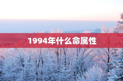 1994年什么命属性