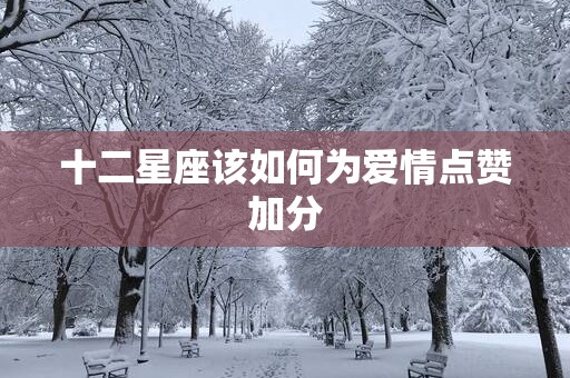 十二星座该如何为爱情点赞加分