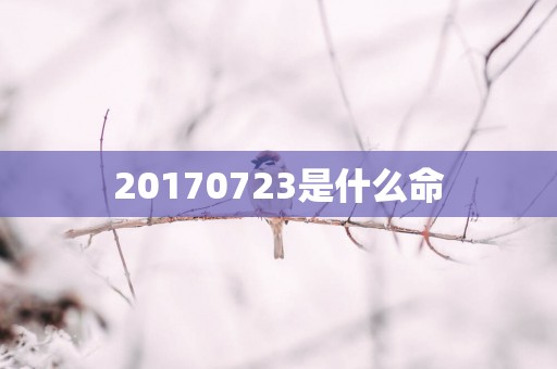 20170723是什么命
