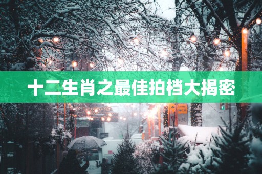 十二生肖之最佳拍档大揭密