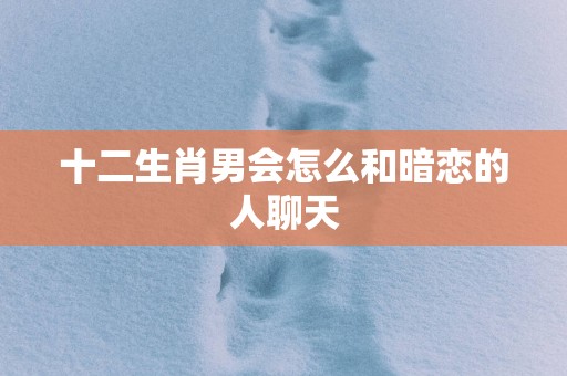 十二生肖男会怎么和暗恋的人聊天